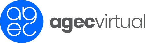 logoVirtual00