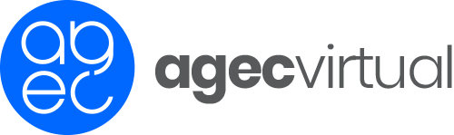 logovirtual1